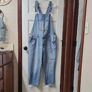 Forever 21 Light Blue Denim Overalls - XL